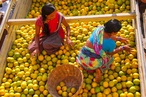 Des femmes avec des fruits en Inde