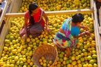 Women with fruits in India