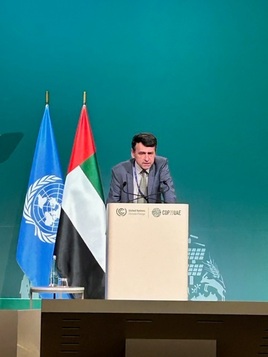 Director General of the International Institute of Refrigeration (IIR) at COP28